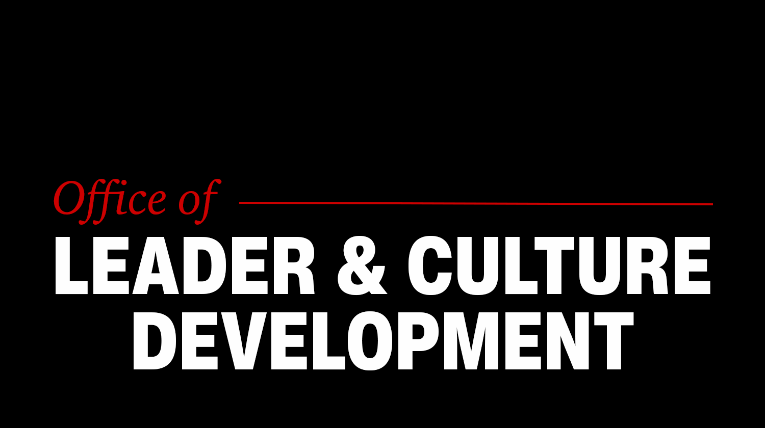 Leader & Culture Development Leader & Culture Development